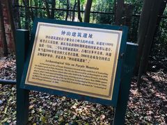 -紫金山山顶公园