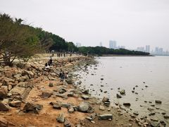 -深圳湾公园(南山区)