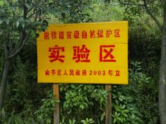 -抱犊崮国家森林公园