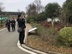 -武汉紫薇都市田园