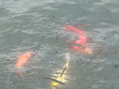 -钱王祠