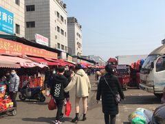 -红星农博物流中心