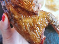 -老谷家黄泥烧鸽子·烧烤