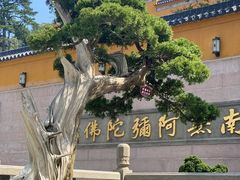 -九华山风景区