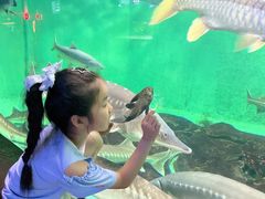 -太平洋海底世界