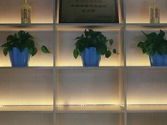 -丛林狼酱骨头(金川店)