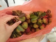 -港华水果街(港华广场店)