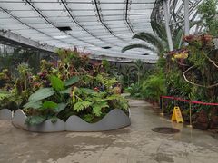 -北京植物园-展览温室