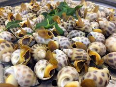 -海大大蒸汽海鲜餐厅·粤菜·特色小炒(欢乐颂店)