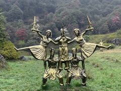 -贵州百里杜鹃风景名胜区