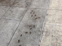-星巴克烘焙中心