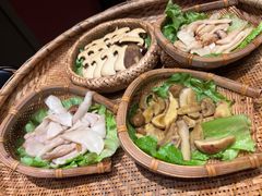 -滇野云南野生菌餐厅(陕西南路店)