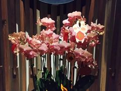 -明谷行馆·温泉