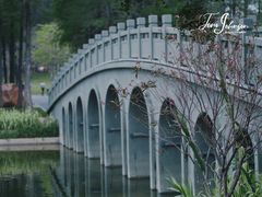 -四海公园(南山区)