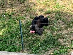 -石家庄市动物园