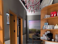 -关爱宠物医院·猫科中心·消化科(滨湖万达分院)