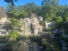 -大围山国家森林公园