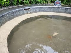 -太白山御龙湾温泉