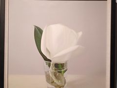 -上海虹桥当代艺术馆