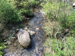-祁门牯牛降观音堂风景区