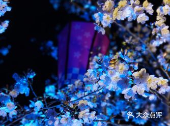 无锡拈花湾｜春日游园赏樱之夜色