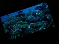 android_upload_pic-塘沽大剧院