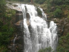 -海南热带雨林国家公园吊罗山景区