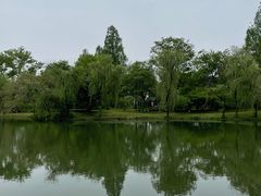 -西溪国家湿地公园