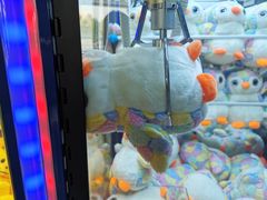 -锐擎卡丁车主题乐园(郊野公园店)