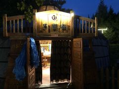 -蒙古大营(朝阳公园店)