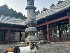 -四门塔风景区