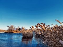 -野鸭湖国家湿地公园