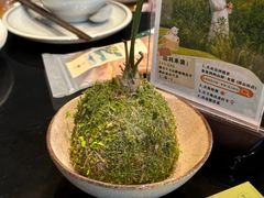 -金鱼妈妈 山野·食趣(荫山街店)