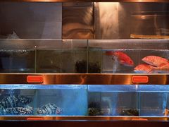 -ONE FULL 古董港式海鲜火锅