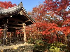 -常寂光寺