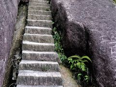 -玉苍山国家森林公园