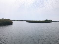-太湖湖滨国家湿地公园-停车场