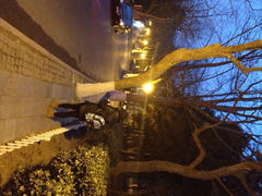 iphone_upload_pic-八大关景区