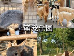 -栖露营camping·天幕烧烤·团建拓展·采摘营地