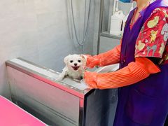 -宠福鑫康馨动物医院·骨科·眼科