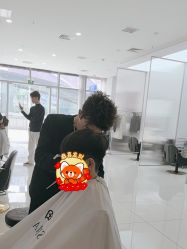 -世田造型