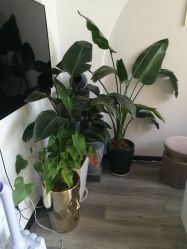 -汐月Health纤体spa中心