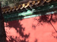 -颐和园