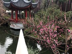 -上海虹桥宾馆(郁锦香品牌酒店)