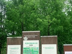 -黄海国家森林公园