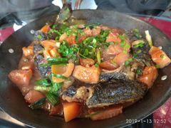 -生态苑农庄(十里画廊遇龙河店)