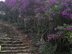 -田野绿世界