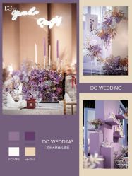 -DC大蔡婚礼策划(李公堤店)