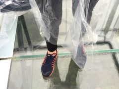 -梦幻奥陶纪景区