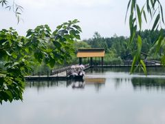 -溱湖国家湿地公园